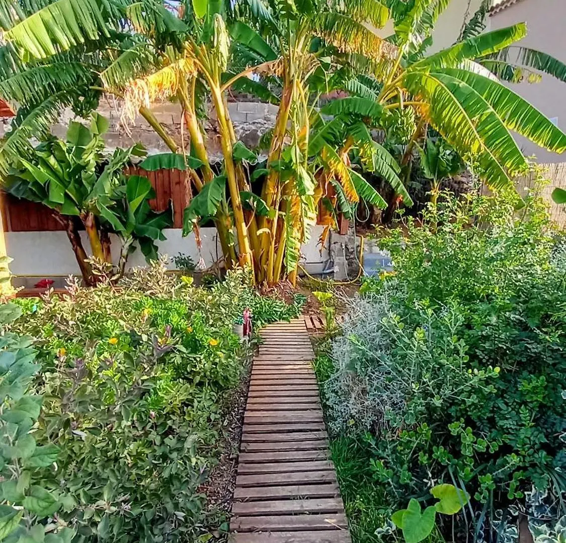 Finca Don Pedro Santa Cruz de Tenerife Apartment